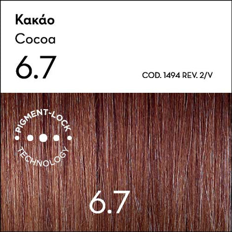 Argan Oil Advanced Colorant 6.7 Cocoa