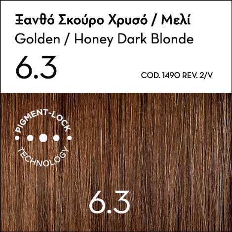 Argan Oil Advanced Colorant 6.3 Golden Honey Dark Blonde + FREE GIFT Argan Oil Mask in special size