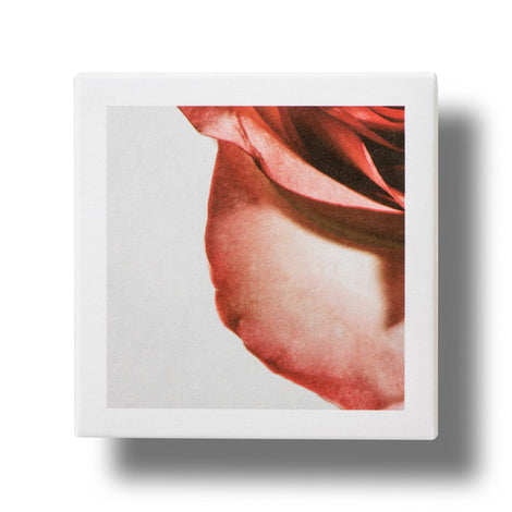 Apothecary Wild Rose Night-Brightening Sleeping Facial