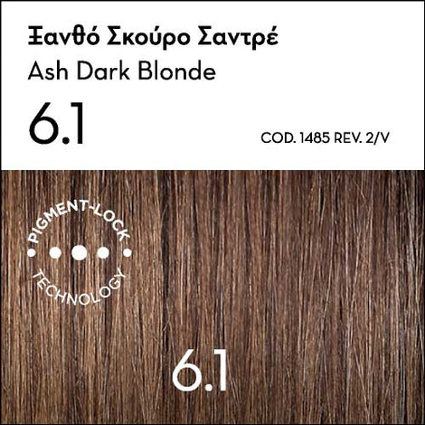 Argan Oil Advanced Colorant 6.1 Ash Dark Blonde