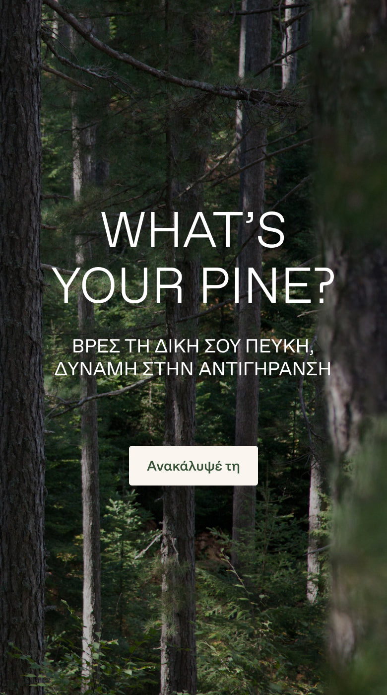 What's your Pine