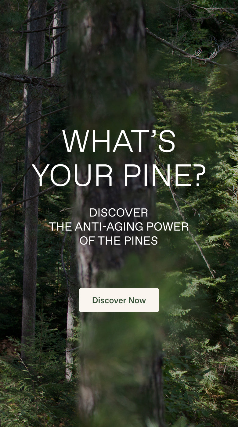 What's your Pine