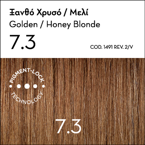 Argan Oil Advanced Colorant 7.3 Golden / Honey Blonde + FREE GIFT Argan Oil Mask in special size