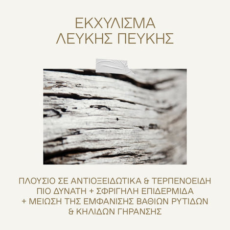 Λευκή Πεύκη Αναπλήρωση Όγκου Κρέμα Ημέρας