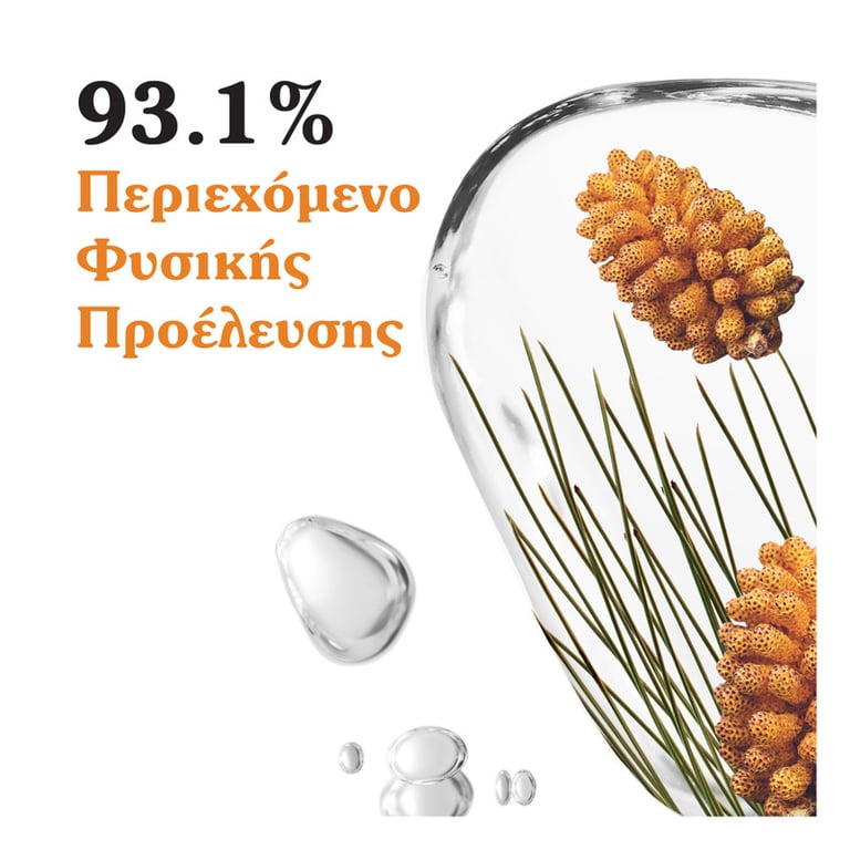 Black Pine Primus Κρέμα Νεότητας Ημέρας