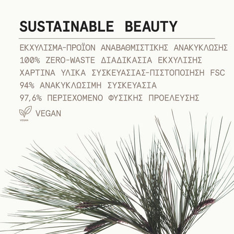 Μαύρη Πεύκη Σύσφιγξη + Lifting Serum