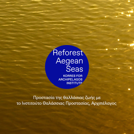 Aegean Bronze Bronzing Dry Touch Oil Body SPF 20