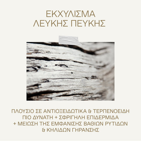 Λευκή Πεύκη Αναπλήρωση Όγκου Ορός Προσώπου