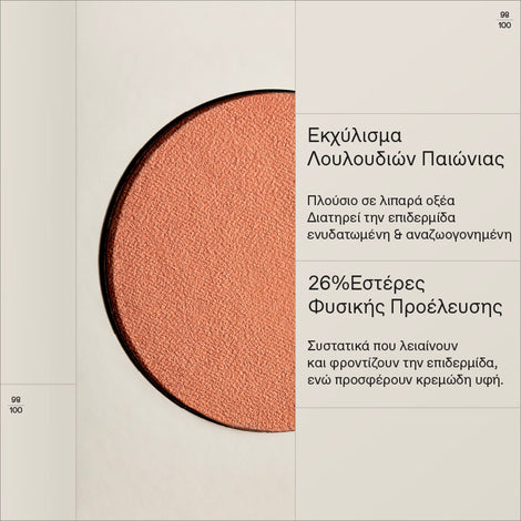 Natural Fresh Blush 04 Almond Bronze