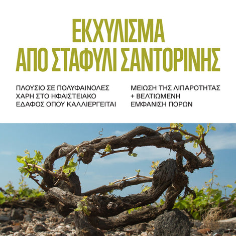 Santorini Grape Poreless Skin Perfecting Toner