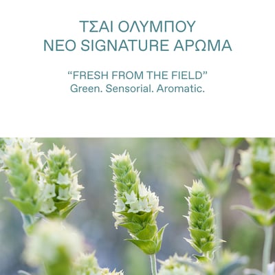 Olympus Tea All-in-One Cleansing Milk 150ml