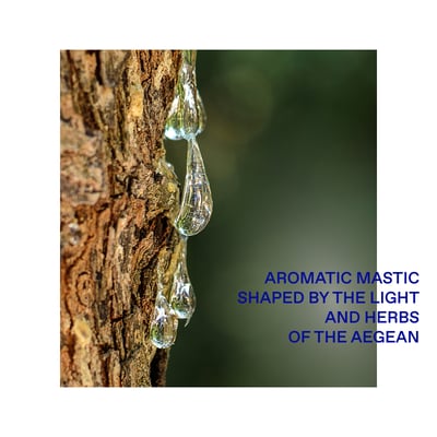 Aegean Blue Eau De Toilette 50ml