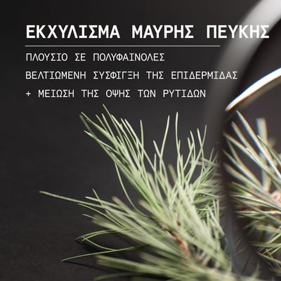 Μαύρη Πεύκη Σύσφιγξη + Lifting Κρέμα Νύχτας