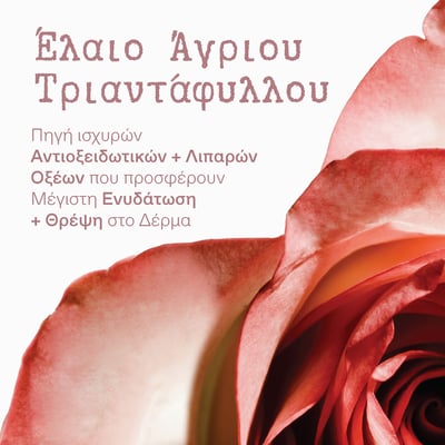 Άγριο Τριαντάφυλλο Λάμψη + Πρώτες Ρυτίδες Κρέμα-Gel Ημέρας