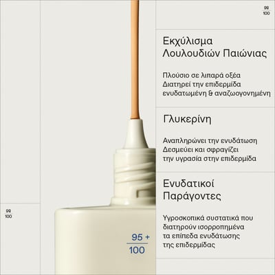 Natural Sheer Foundation 01 Light