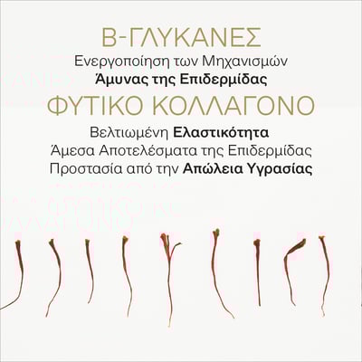 Χρυσός Κρόκος Επανορθωτική Κρέμα Νεότητας