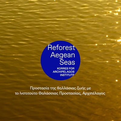 Aegean Bronze Intense Bronzing Oil Face + Body SPF 10