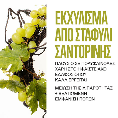 Santorini Grape Volcanic SkinReset Mask