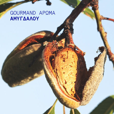 Almond Nut Hand Cream